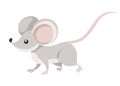 Cute little gray mouse walk. Cartoon animal character design. Flat vector illustration isolated on white background Royalty Free Stock Photo