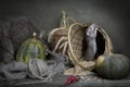 Cute little gray rat, mouse in a basket with corn and pumpkins and big gray cat. Still life in vintage style with a live rat. Royalty Free Stock Photo