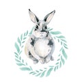 Cute little gray spotted rabbit in a round frame of green leaves. Hare isolated on white background. Christmas wreath