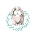 Cute little gray spotted rabbit in a round frame of green leaves. Hare isolated on white background. Easter bunny