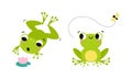 Cute little green baby frog jumping and catching fly with tongue set cartoon vector illustration Royalty Free Stock Photo