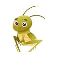 Cute little green grasshopper. Funny adorable baby insect cartoon character vector illustration Royalty Free Stock Photo