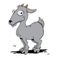 Cute little grey goat smiling Royalty Free Stock Photo