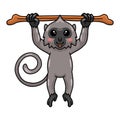 Cute little grey langur monkey cartoon hanging on tree branch Royalty Free Stock Photo