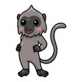 Cute little grey langur monkey cartoon standing