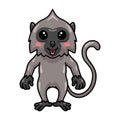 Cute little grey langur monkey cartoon standing