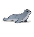 Cute little grey seal