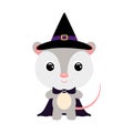 Cute little Halloween opossum in a wizard costume. Cartoon animal character for kids t-shirts, nursery decoration, baby Royalty Free Stock Photo