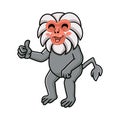 Cute little hamadryad monkey cartoon giving thumb up