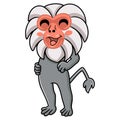 Cute little hamadryad monkey cartoon standing