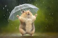 Cute little hamster dancing in the rain