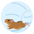 Cute little hamster running in blue ball