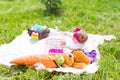 Cute little happy baby girl with big brown teddy bear on green grass meadow, spring or summer season Royalty Free Stock Photo