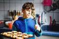 Cute little happy blond school kid boy baking carrot blueberry muffins in domestic kitchen, indoors. Funny lovely Royalty Free Stock Photo