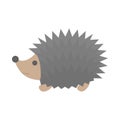 Cute little hedgehog. Animal with the prickle