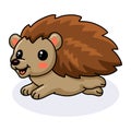 Cute little hedgehog cartoon running