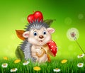 Cute little hedgehog siitng in the beautiful grass background