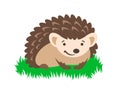 Cute smiling little hedgehog sitting in green grass simple flat illustration