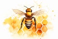 Cute little illustration cartoon pixar bee on honeycomb and white background Royalty Free Stock Photo