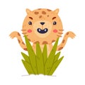 Cute Little Jaguar with Spotted Fur Roaring Peeking Out From Green Grass Vector Illustration