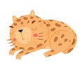 Cute Little Jaguar with Spotted Fur Sleeping Vector Illustration