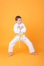Little karate boy on the yellow background Royalty Free Stock Photo