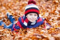 Cute little kid boy on autumn leaves background in park. Royalty Free Stock Photo
