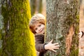 Cute little kid boy enjoying climbing on tree on autumn day. Cute child in autumnal clothes learning to climb, having Royalty Free Stock Photo