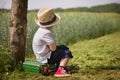 Cute little kid boy in shorts, white polo and straw hat sits on his green suitcase in a field near a tree waiting for a bus.