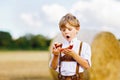Cute little kid boy in traditional Bavarian costume in wheat field Royalty Free Stock Photo
