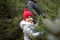 Cute little kid choosing with family freshly cut Christmas tree at outdoor fair. Holiday celebration concept Royalty Free Stock Photo