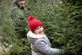 Cute little kid choosing with family freshly cut Christmas tree at outdoor fair. Holiday celebration concept Royalty Free Stock Photo