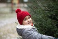 Cute little kid choosing freshly cut Christmas tree at outdoor fair. Holiday celebration concept Royalty Free Stock Photo