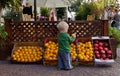 Cute Little kid picking up fruits