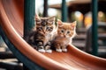 Cute little kitten cats that playing together at playground with happiness, funny moment of pet, fluffy cat, with Generative Ai