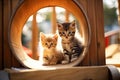 Cute little kitten cats that playing together at playground with happiness, funny moment of pet, fluffy cat, with Generative Ai