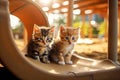 Cute little kitten cats that playing together at playground with happiness, funny moment of pet, fluffy cat, with Generative Ai