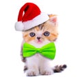 Cute little kitten with christmas hat Royalty Free Stock Photo