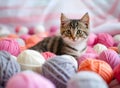 Cute little kitten with colorful yarn balls on bed, closeup