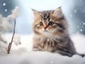 A cute little kitten got lost in the winter weather somewhere in the woods.