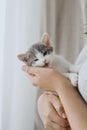 Cute little kitten meowing in hands of woman in rustic dress. Love, care, adoption