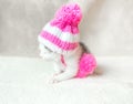 A cute little kitten in a pink knitted hat with pompoms is sitting on a white carpet. Cute sleeping kitty in hat Royalty Free Stock Photo