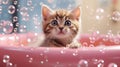 Cute little kitten playing with soap bubbles in bathroom, closeup Royalty Free Stock Photo