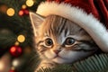 Cute little kitten in santa hat on Christmas background. Generative AI