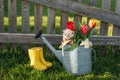 A cute little kitten sits on top of a watering can with flowers Royalty Free Stock Photo