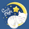 A cute little kitten is sleeping on the moon. Baby vector illustration Royalty Free Stock Photo
