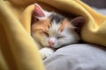 Cute little kitten sleeping under a yellow blanket on the bed