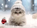 A cute little kitten is wearing a winter hat and sitting outside