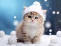 A cute little kitten is wearing a winter hat and sitting outside in the freezing weather at Christmas.