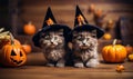 Cute little kittens with Halloween hats and grinning pumpkins.